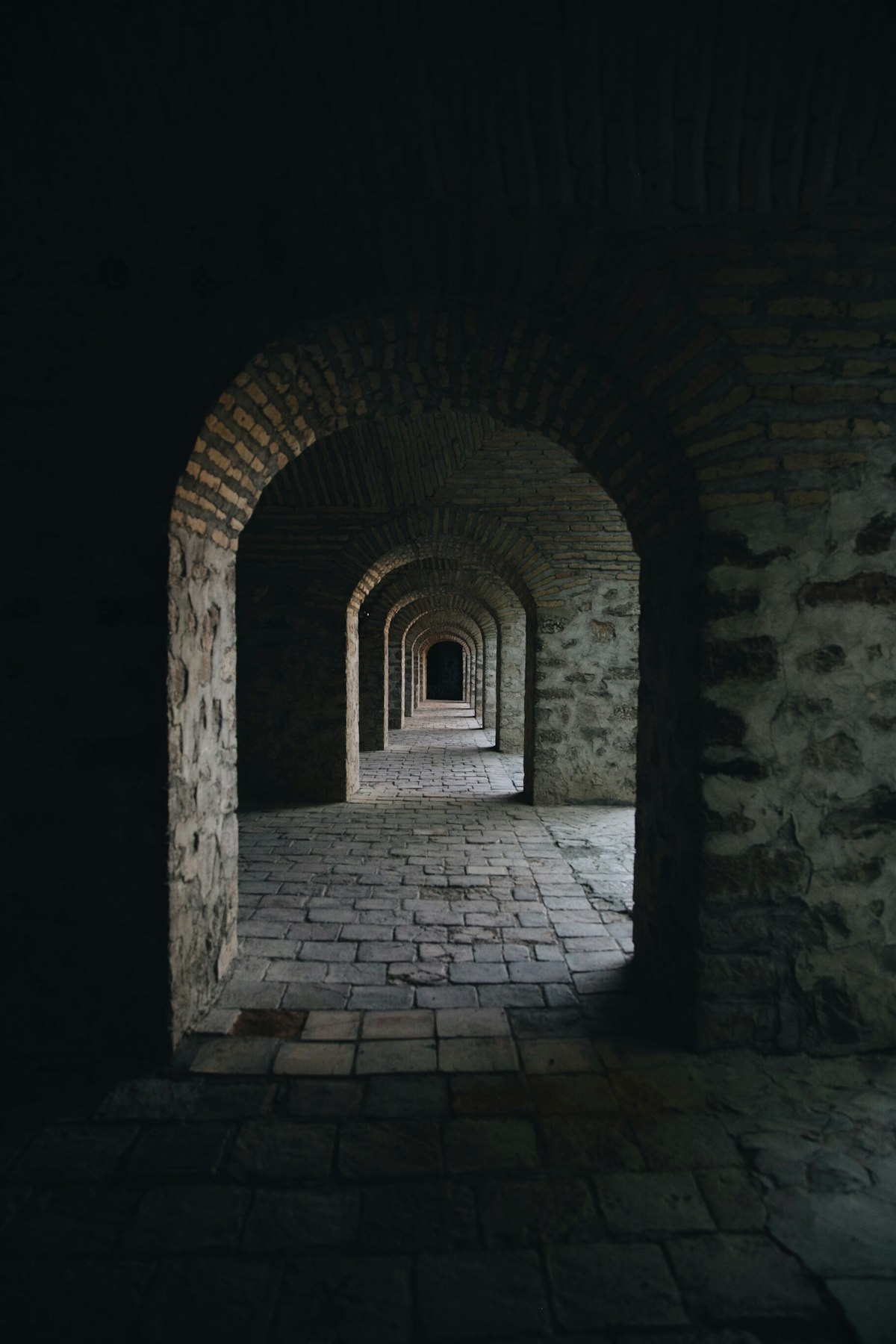 Tales from the Crypt: Your Software Subscriptions Have Vampires and Zombies